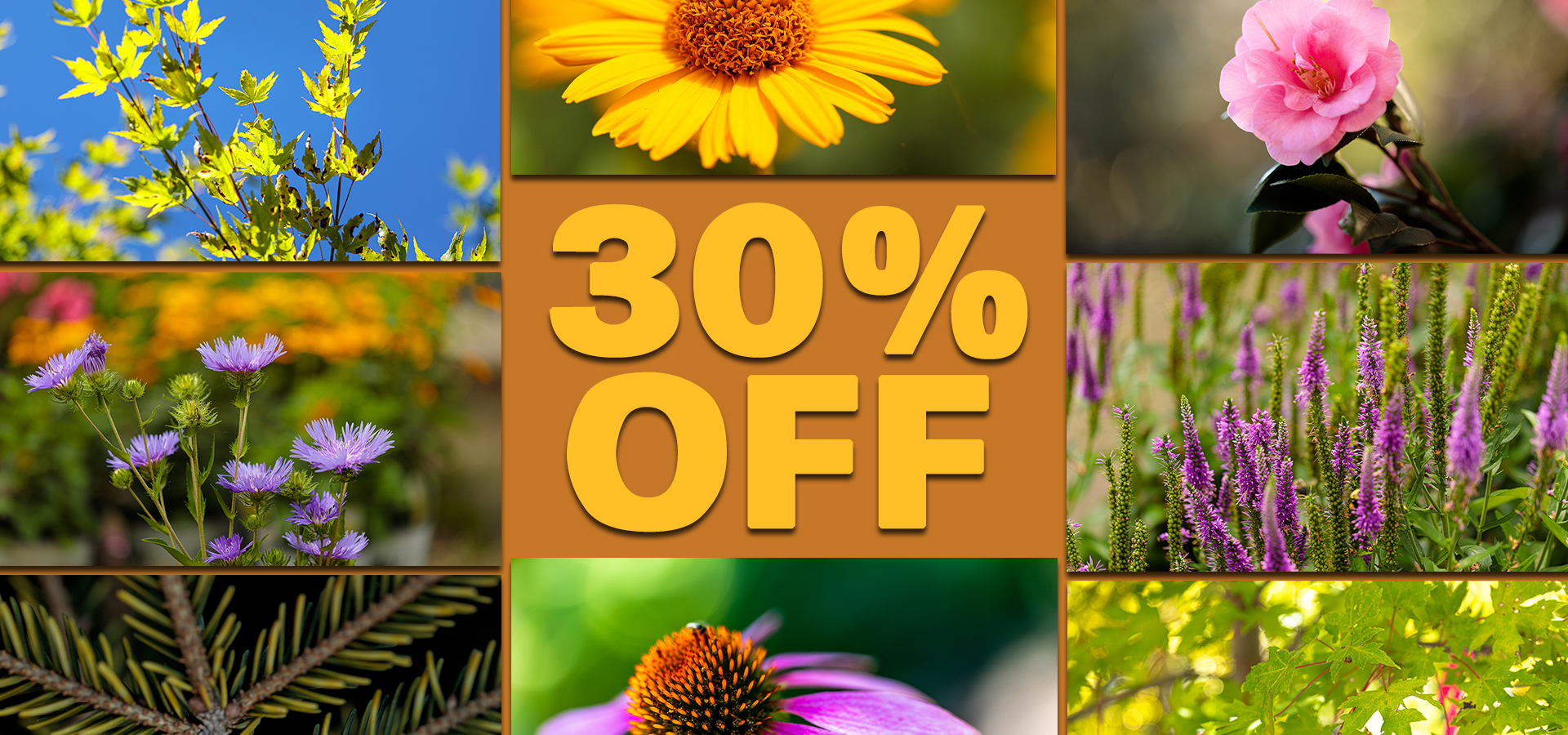 30-OFF-PLANTS